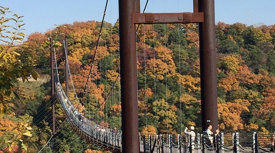 🌳 구다마쓰 공원 이미지 9